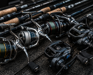 Collection image for: Reels