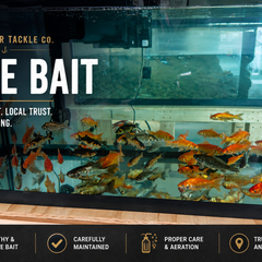 Collection image for: Live Bait