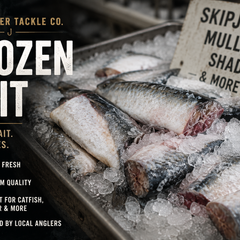 Collection image for: Frozen Bait
