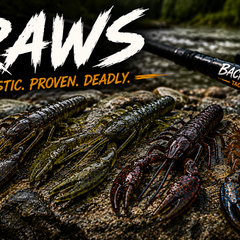 Collection image for: Craws