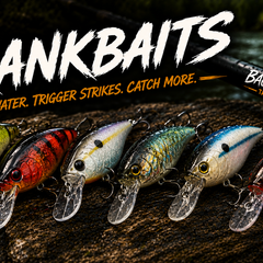Collection image for: Crankbaits