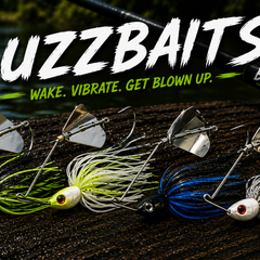 Collection image for: Buzzbaits