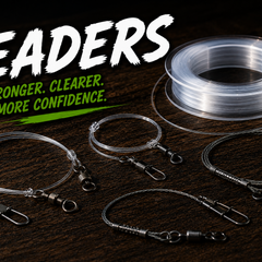 Collection image for: Leaders