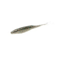 Bait Fish