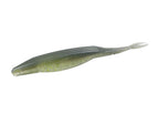 Sexy Shad