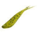 Watermelon Seed