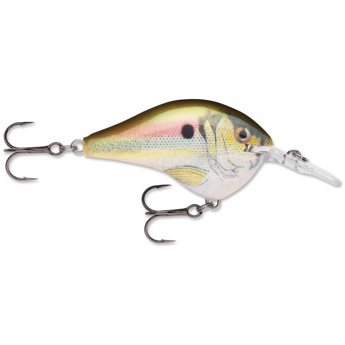 Rapala Dives To Series Crankbait