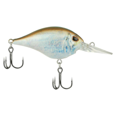 HD Blueback Herring