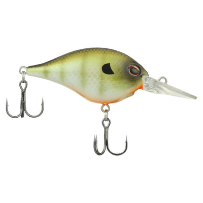 Killer Gill