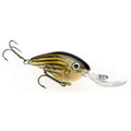 Barfish
