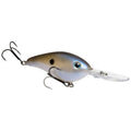 Blue Gizzard