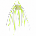 White/Chartreuse