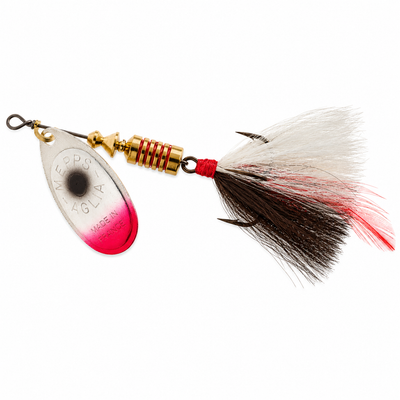 Silver Shad