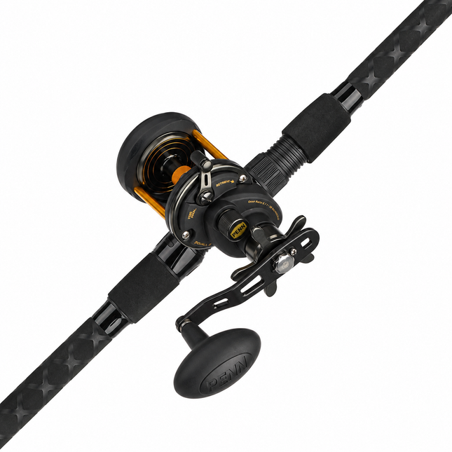 Penn Squall II Star Drag Baitcasting Combo