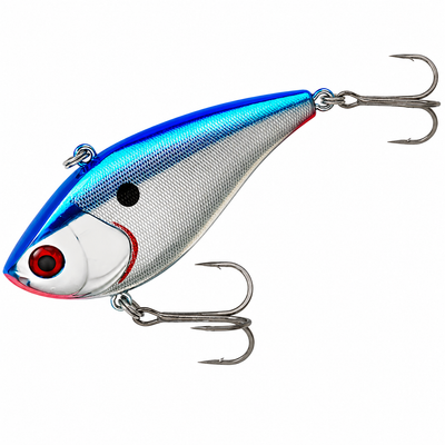 Blue Shiner