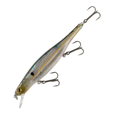 Copper Shad