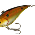 Copper Shiner