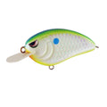 Citrus Shad