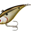 Gold Shiner