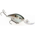 Green Gizzard Shad