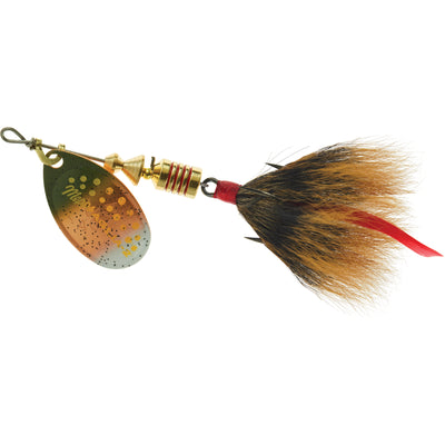 Brook Trout/Brown