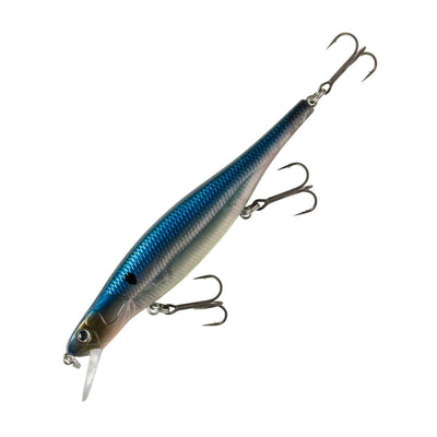 Midnite Shad