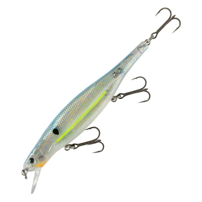SEXY SHAD