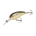Splatter Bass
