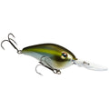 Summer Sexy Shad