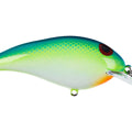 Tropical Shad