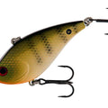 Yellow Perch