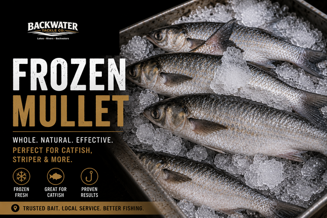 Mullet - Frozen